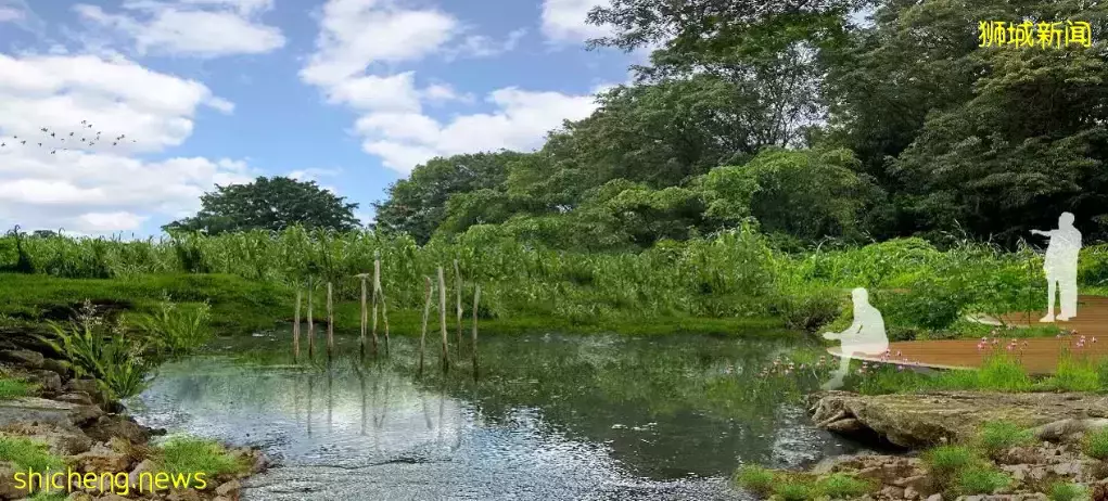 新加坡的野心，藏不住了！政府竟然把这块地拿出来卖