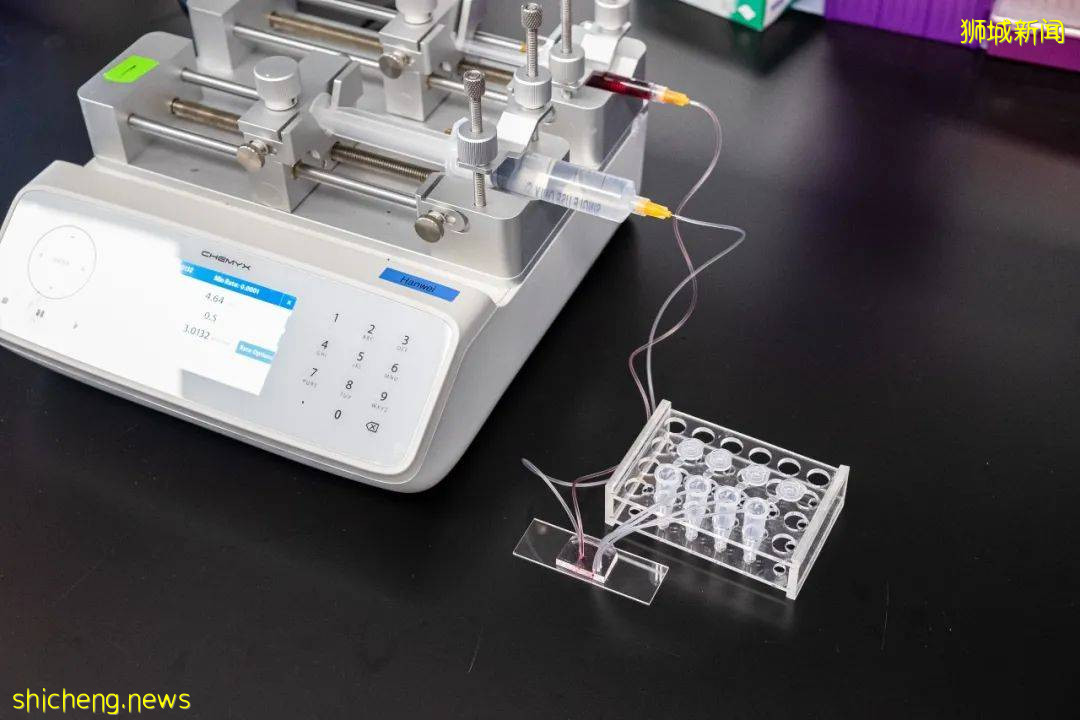 NTU 科学家找到识别糖尿病血管炎症风险的新方法