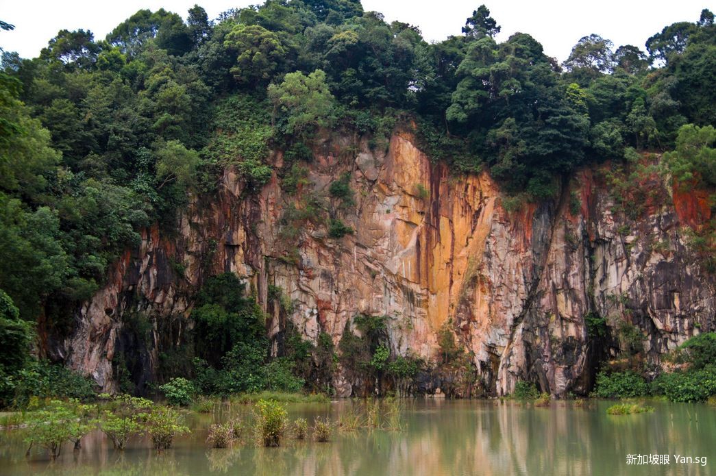 bukit timah 2