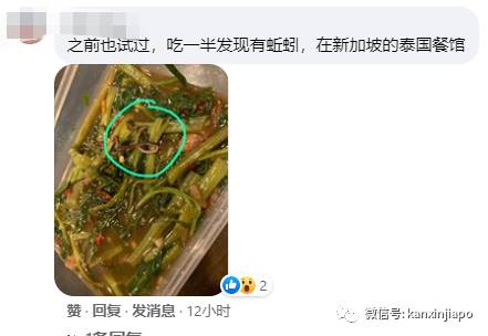 求心理阴影，从杂菜饭里竟然吃出一条蛇