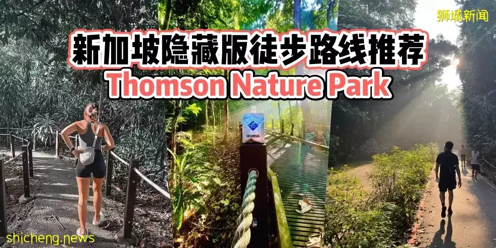 新加坡隐藏版徒步路线推荐 · Thomson Nature Park漫步游园攻略