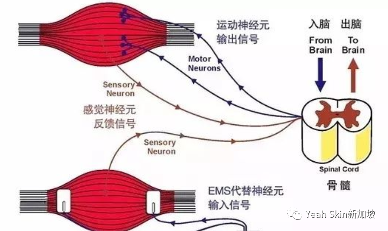 Get《乘风破浪的姐姐》护肤秘籍！会保养的女人最好命！