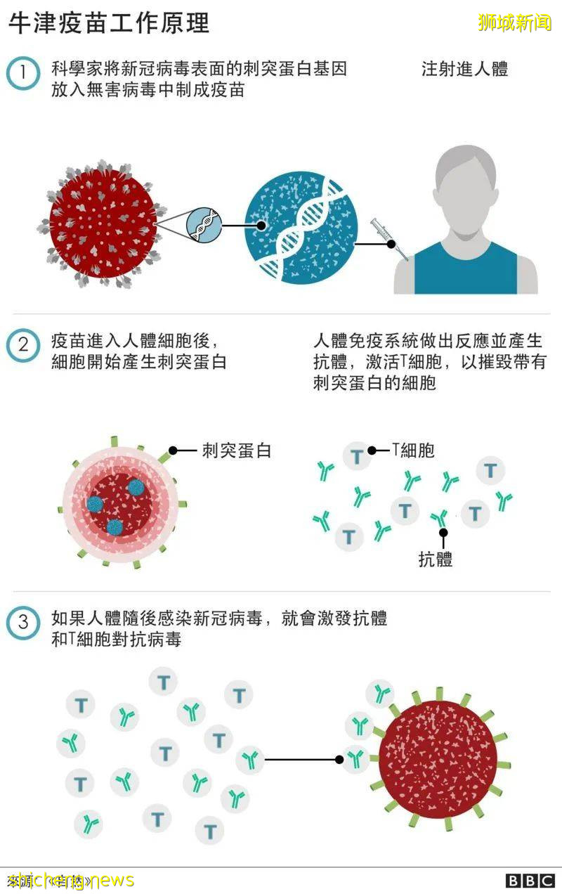 新加坡承認所有世衛授權疫苗！科興、國藥、阿斯利康怎麽選