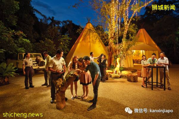 猫山王啤酒配新加坡美食，夜间野生动物园奢华帐篷晚宴再次来袭