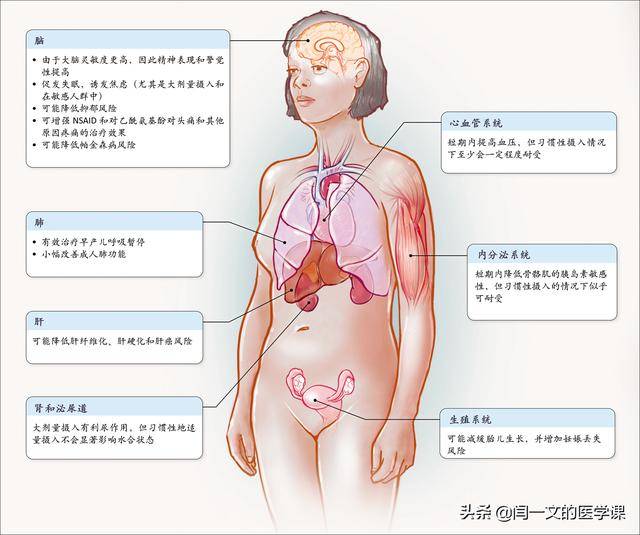 新加坡国立大学专家：咖啡不增加心血管病风险，但可降低炎症风险 