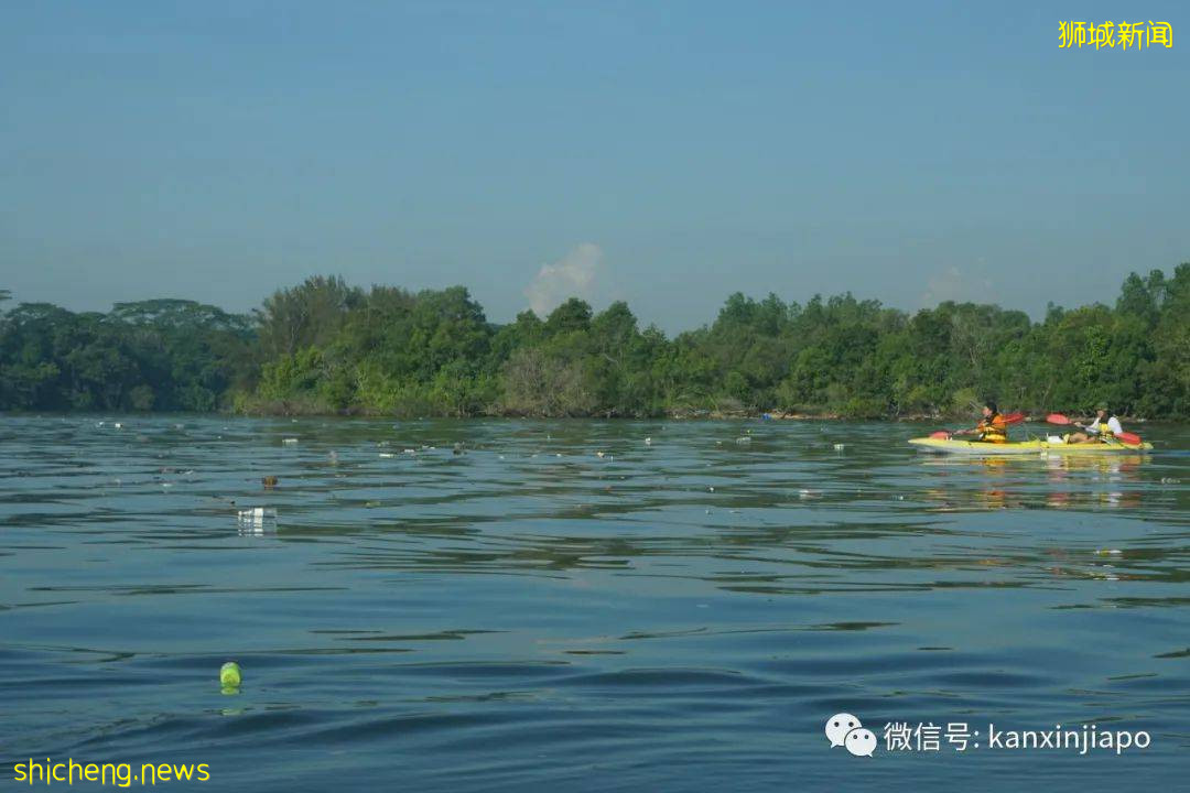 骇人！新加坡滨海码头成了露天垃圾场