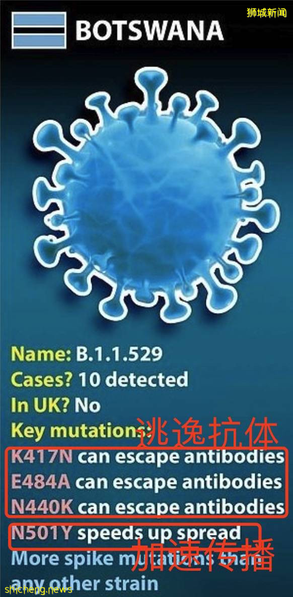 突发！神秘新变种病毒现身，新加坡紧急调整边境政策！亚洲股市暴跌