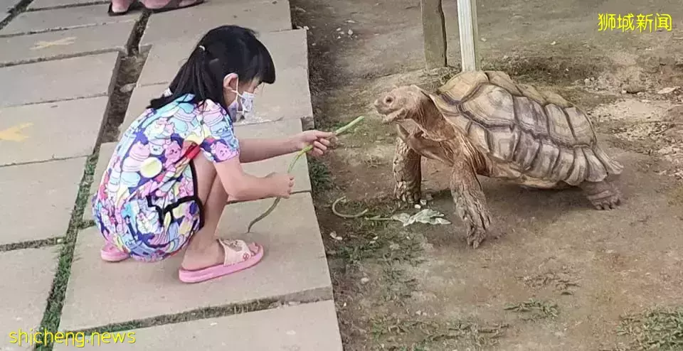 【周末去哪】免费坐缆车，$48水光针护肤，珍宝8折，思家客春节优惠