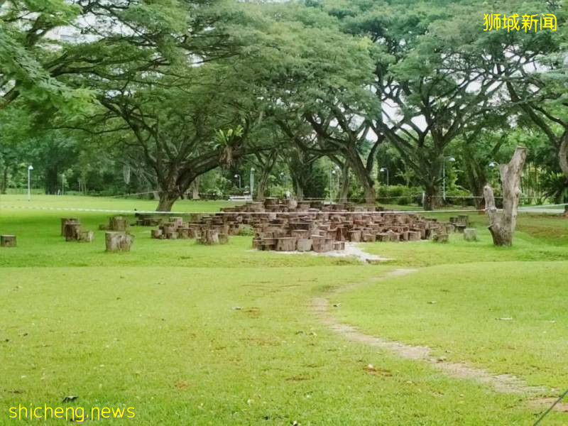 最適合帶孩子去的—新加坡裕廊湖畔花園