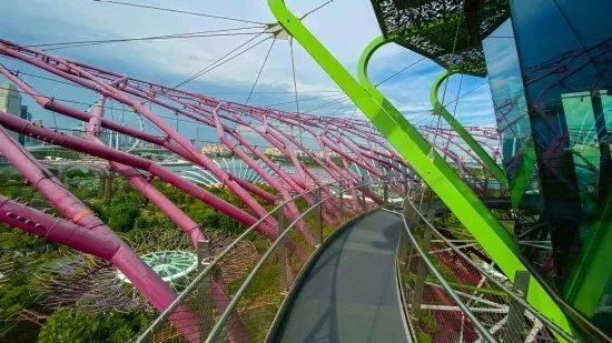 滨海湾花园空中走道9月7日起重开，灯光秀时间有更动