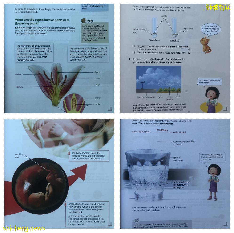 新加坡留学：一起来了解新加坡孩子如何学习科学课