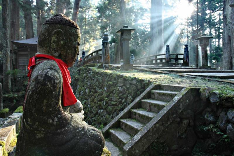 独居老人死后无人领遗骨　只能快递去寺庙