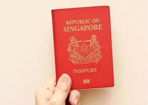 定居新加坡的新移民，国内年迈的父母养老问题咋解决