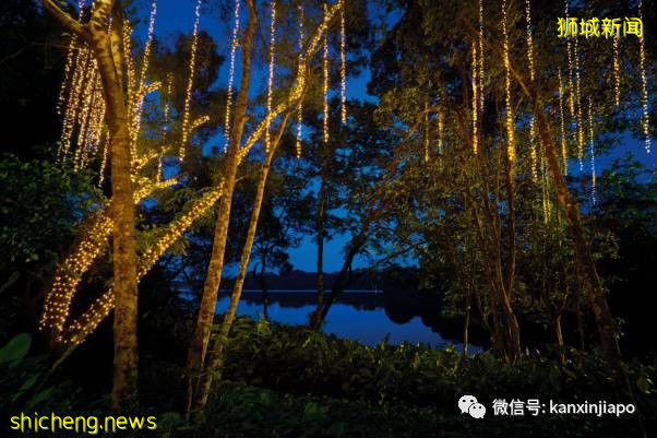 猫山王啤酒配新加坡美食，夜间野生动物园奢华帐篷晚宴再次来袭