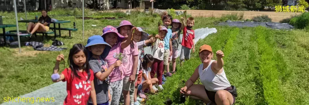 如何做到一边应对肥胖，一边拯救地球