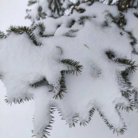 刷屏！中国下了第一场雪，我在新加坡酸了