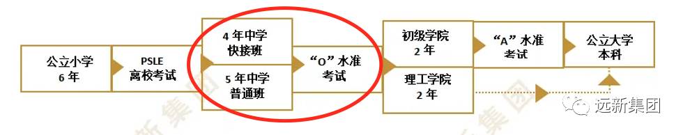 新加坡小学毕业考！不简单