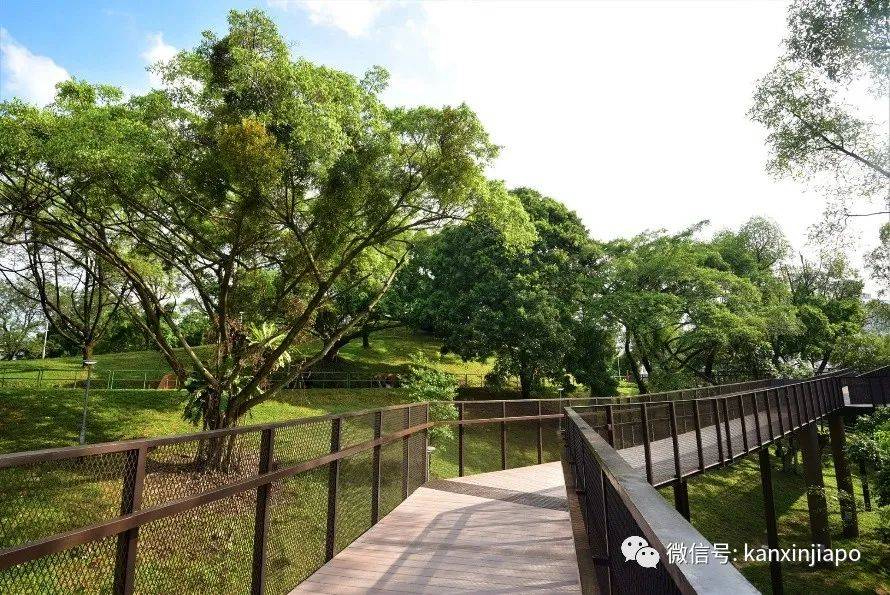 新加坡有新鄰裏公園！刺激旋轉滑梯，超好玩