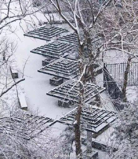 刷屏！中国下了第一场雪，我在新加坡酸了