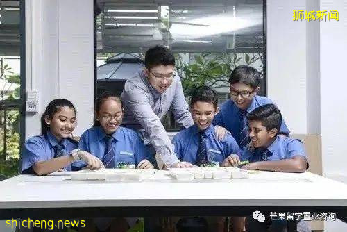 由幼兒園到大學新加坡全階段教育介紹