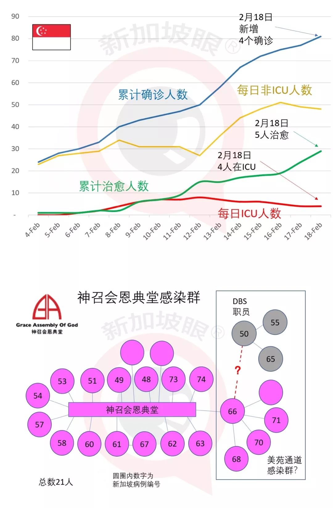 新加坡今日新增4例确诊，累计81例 | 最大感染群已超20人