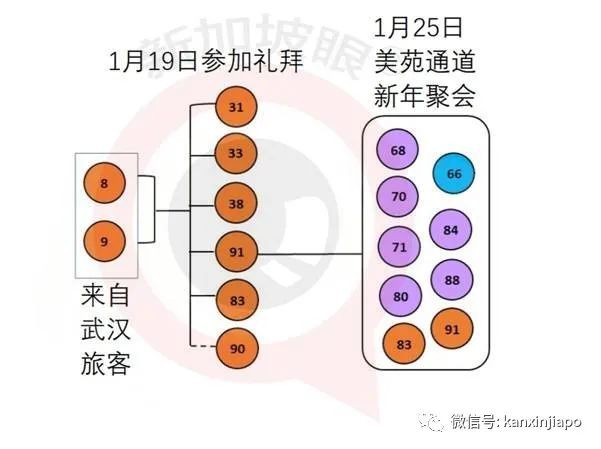 新加坡 | “91号冠病”日记