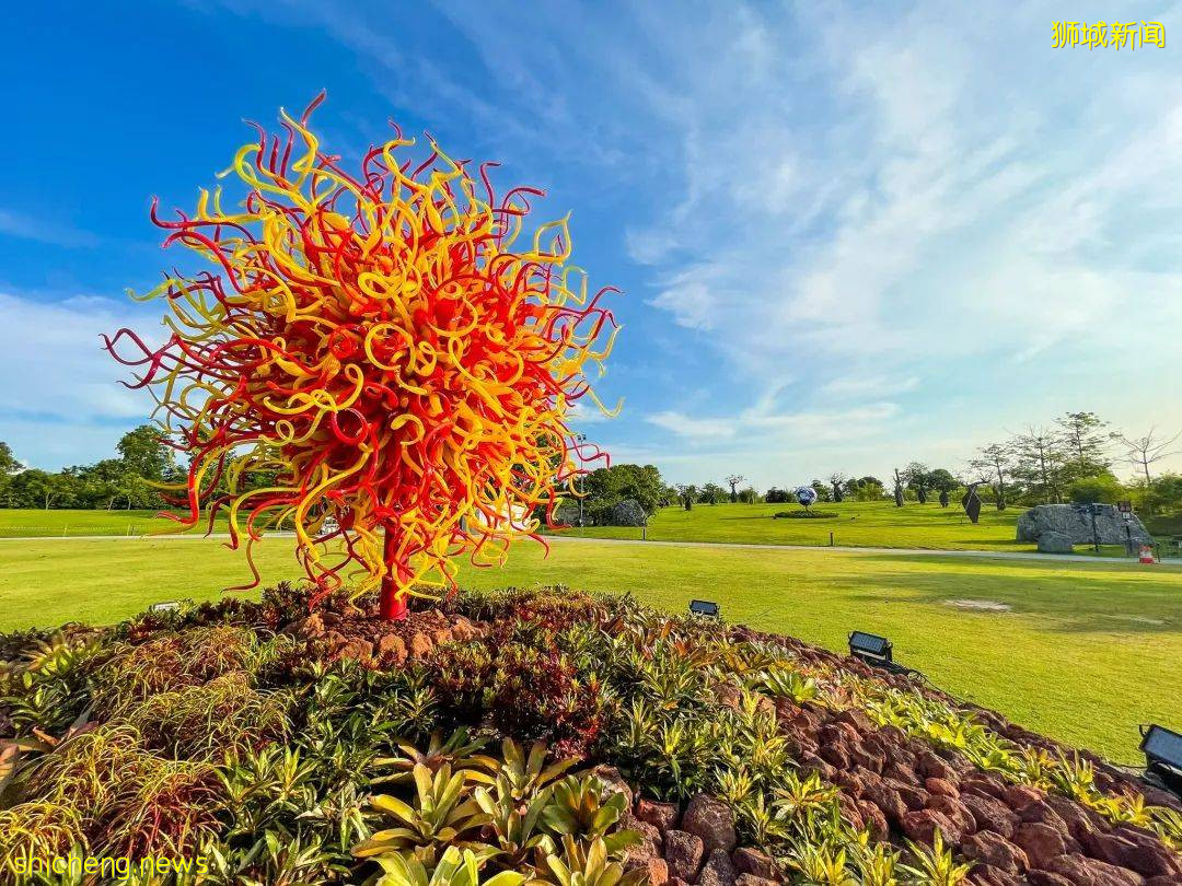 新加坡滨海湾花园迎来美国吹制玻璃艺术家亚洲首展