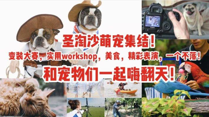 圣淘沙萌宠集结！变装大赛，宠物workshop，美食还有精彩表演～和可爱的宠物们一起嗨翻天