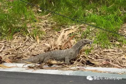 李显龙总理休年假了，没准你会在这些地方和他偶遇哦