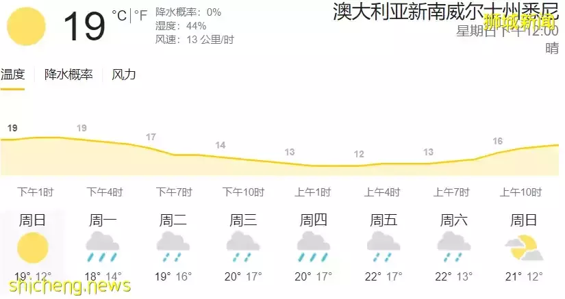 大跌眼镜！新加坡祭拜用的白色菊花，居然在这里成母亲节礼物