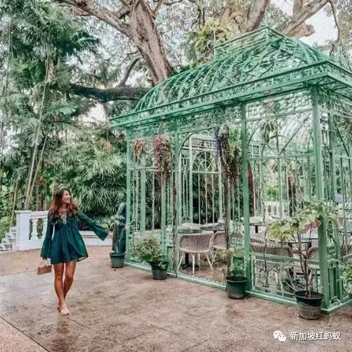 新加坡公園的浪漫，只有去過這些隱藏版特色餐館的人才懂