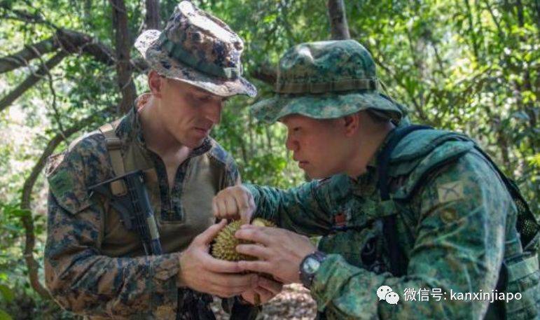 新加坡榴梿季到！不懂这些规矩，那你真是在瞎吃