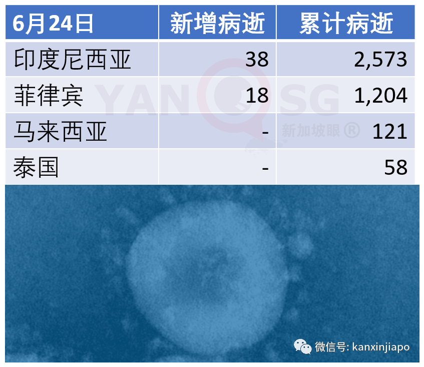 今增X，累计X | 新加坡的冠病死亡率只有0.06%，到底怎么办到的？