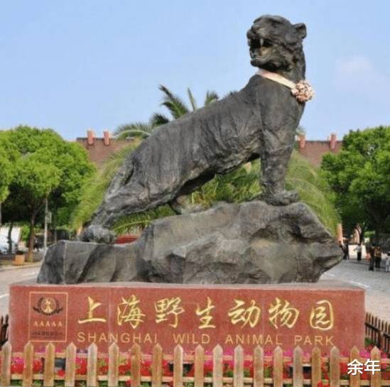 殘忍！上海動物園熊吃人，親眼目睹！新加坡也發生過類似案件！印度最慘