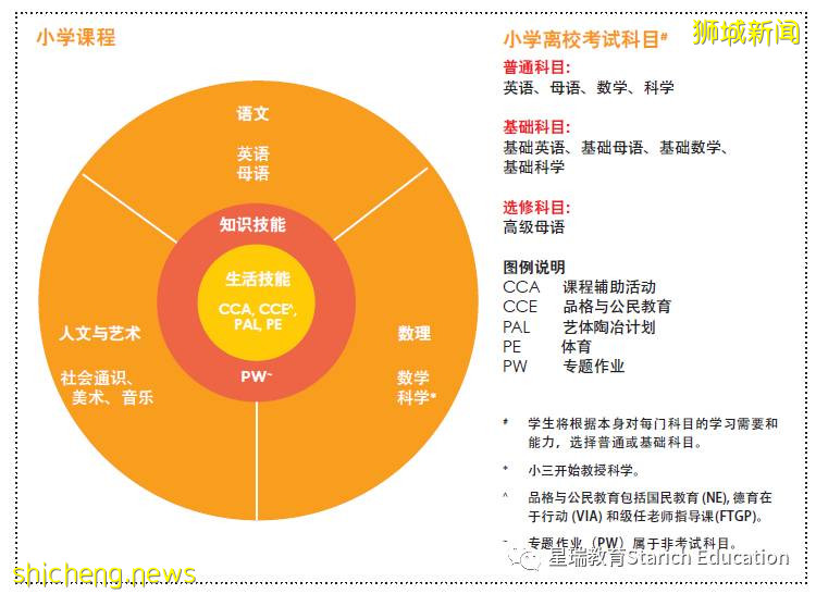 什麽造就了新加坡式精英教育？小學篇(1)!