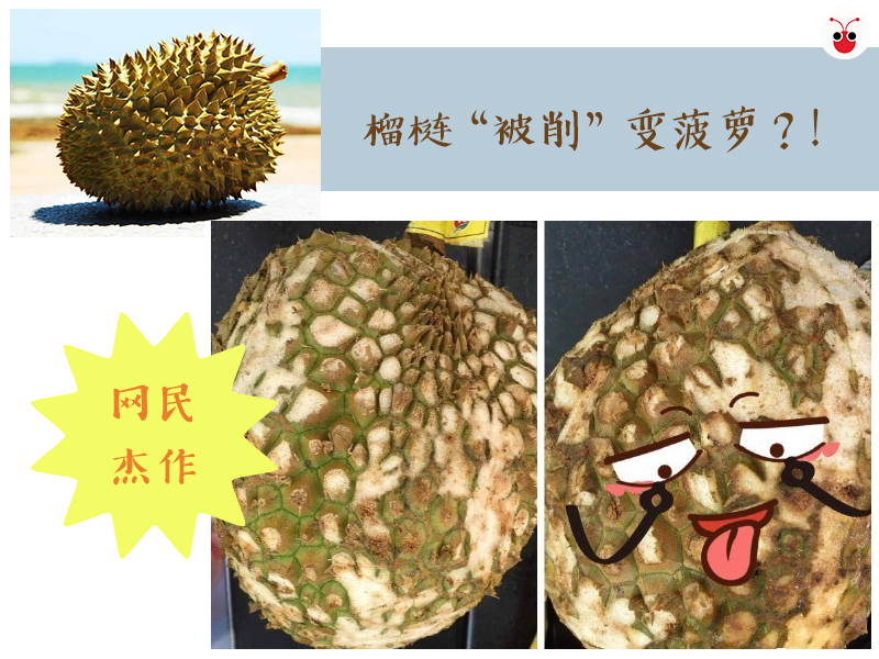 duriancuttopineapple.jpg