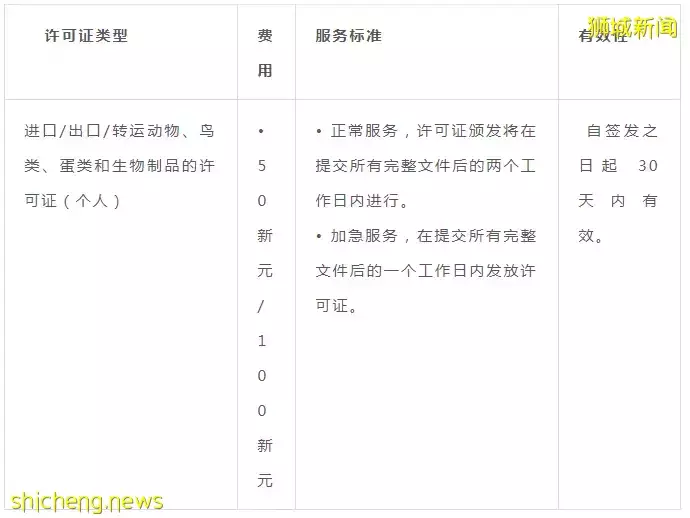 耗时6个月，隔离30天，我的宝贝终于来新加坡跟我团聚了