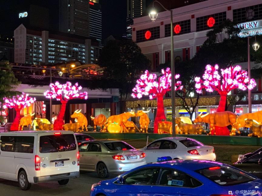 满满年味～牛车水农历新年亮点已开启，牛气冲天