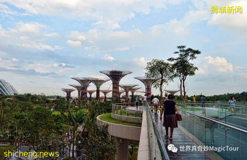 新加坡 帶您走進新加坡濱海灣花園