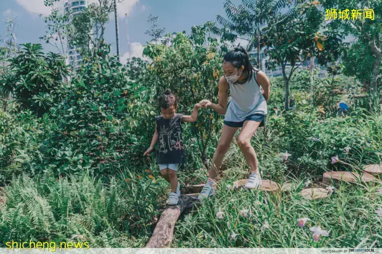 清涼一夏！新加坡超拽的水上運動，香蕉船、海盜船、海上蹦床、皮劃艇親子釣魚