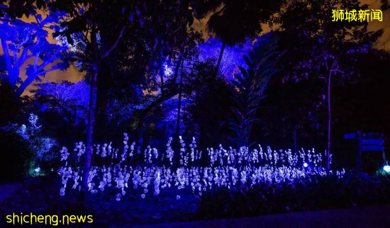 新加坡動物園沉浸式多媒體夜行體驗“RAINFOREST LUMINA”｜CAAPA周末分享!