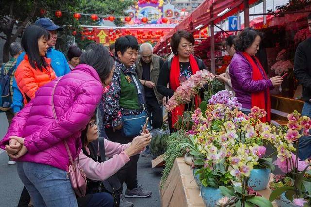 打卡新加坡滨海湾花园，收下这份闯入花海仙境的春节攻略