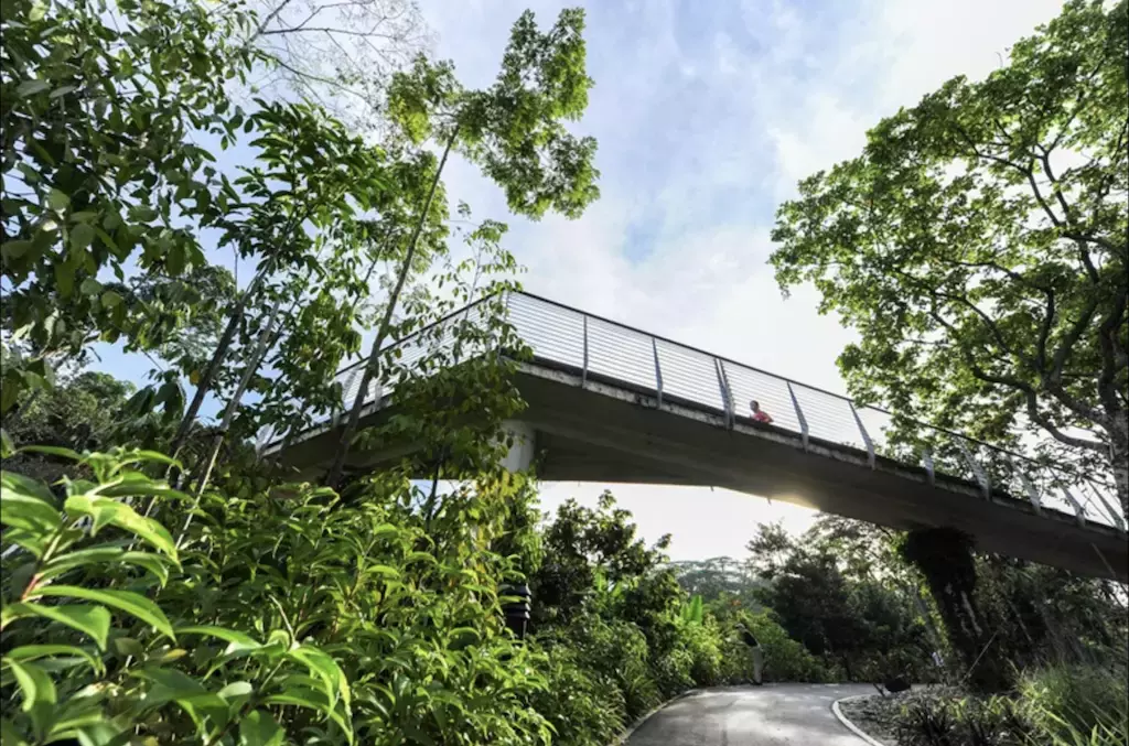 隱藏秘籍！新加坡26條遠足路線：尋找長尾猕猴、紅毛丹種植園，眺望最美海峽