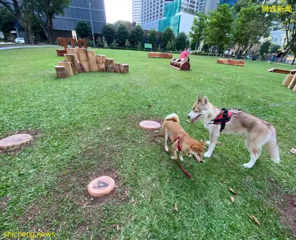 小空地大改造！丹戎巴葛全新生态游乐场🌳小朋友可以尽情玩耍，还能带狗狗前来自由狂奔👣 