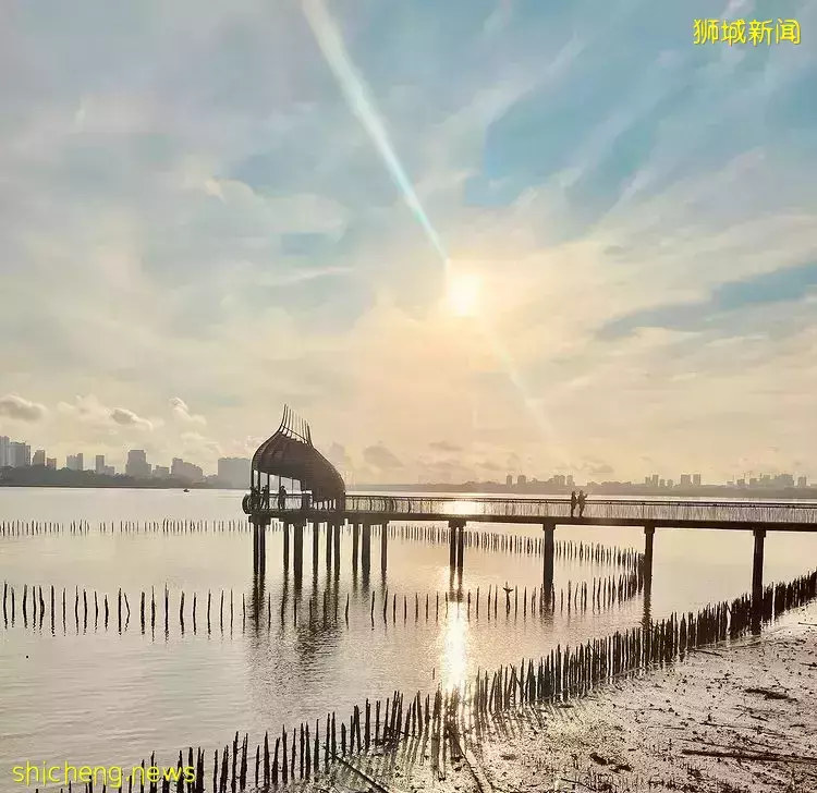 走出钢骨都市，返璞归真特辑🍃精选7大自然景点，带你感受原生态新加坡🌳 