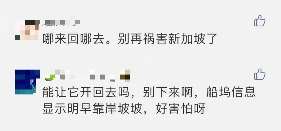 批准了！意大利游轮停靠新加坡，约2000人将登陆 | 今新增10例，累计160