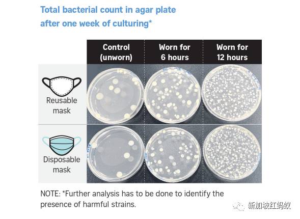 戴了一天的口罩会吸附多少微生物？　来看看究竟有多恐怖