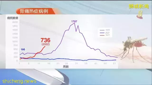 我国骨痛热症上周病例创五年来同期最高