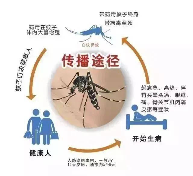 注意！新加坡这个病竟有136个感染群遍布全岛，7671人患病