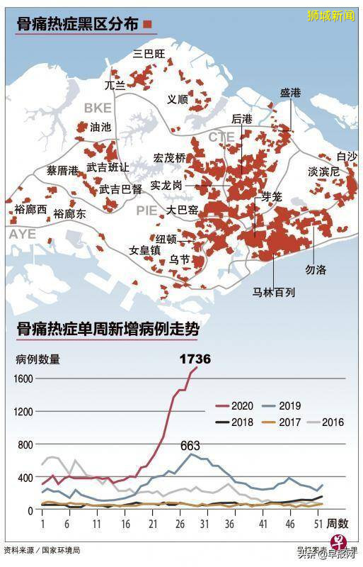 新加坡今年骨痛热症病例居高不下是何原因